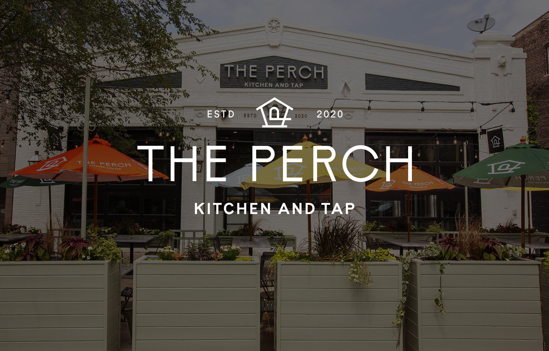 finch-Perch.jpg