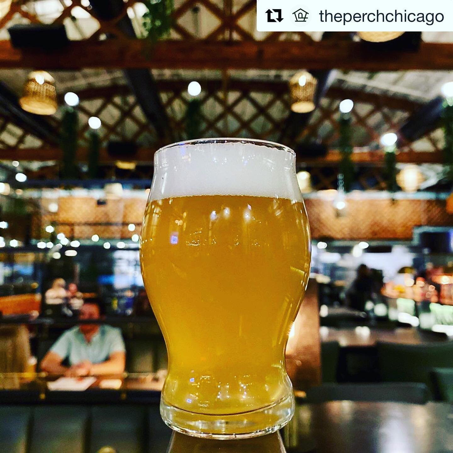 New beer release alert! Mos Hef now on tap. How good does a nice Hefe sound on a perfect day in Chicago for a little day drinking? Come grab brunch. Disclaimer: Always day drink and brunch responsibly-ish. 
・・・
Our new 🍺 lineup is hitting our bright